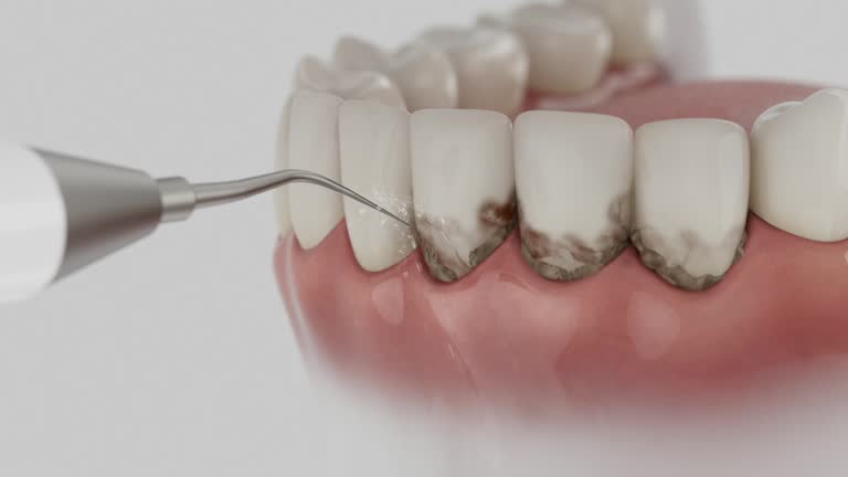 Reliable Dental contractor in Park City, IL by Dentist Open Now
